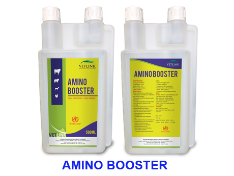 Amino Booster