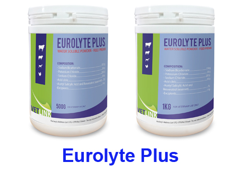 eurolyte plus