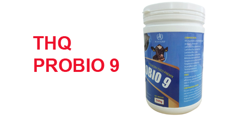 probio 9