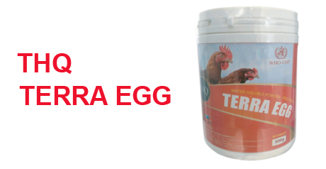 THQ Terra Egg